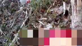 Así dejaron a 8 familiares de presunto líder del Cártel de Sinaloa al Sureste de México