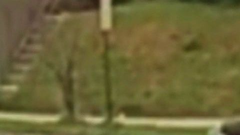 Dillon defendiendo su propiedad