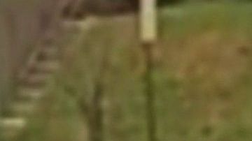 Dillon defendiendo su propiedad