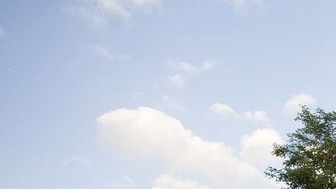 autohaus-2138927_1280