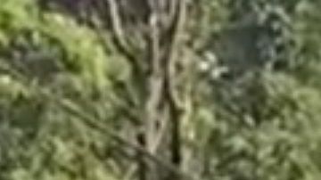 El accidente causó la muerte de dos personas, tres heridos y un desaparecido.