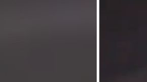 El intruso en pleno vuelo