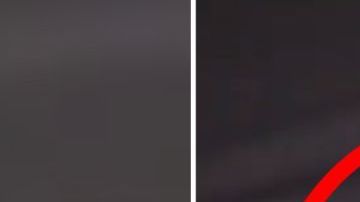 El intruso en pleno vuelo