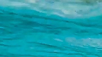 La contaminación de los mares con plástico es alarmante.