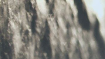 Compartir este hábito con tu pareja puede ser antihigiénico.