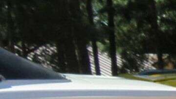 El amante de los autos musculosos comenzó a coleccionarlos a los 16