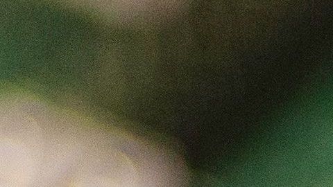 La compañía decidió dejar de comprar chip para fabricar sus propios