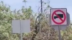 Las autoridades aún no han confirmado el número de víctimas mortales.