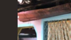 Carmela Parral es otra de las políticas asesinadas en Oaxaca.