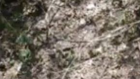 Cártel del Noreste decapita a hombre y con navaja le deja mensaje escrito en el cuerpo