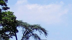 En este lugar hay trabajos muy peculiares que la gente tiene que hacer.