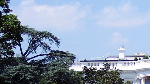 En este lugar hay trabajos muy peculiares que la gente tiene que hacer.