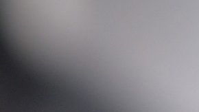 Pide $30,000 por el animal.