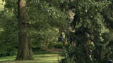 NYPD en la escena fatal