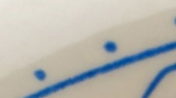 La cocina mexicana esta llena de colores, sabores y mucha tradición.