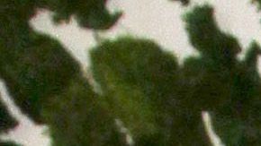 Chiquis Rivera y Lorenzo Méndez