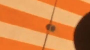 El video se ha compartido por varias cuentas y tiene millones de reproducciones.