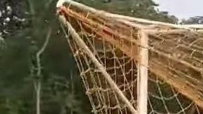 El ciervo estaba desesperado