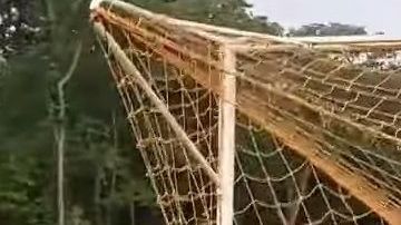 El ciervo estaba desesperado