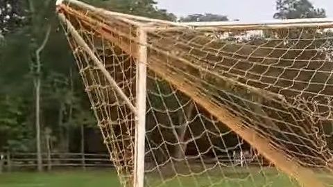 El ciervo estaba desesperado