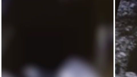 Pese a lo pequeño que es, el bebé se divierte.