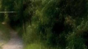 Dejan docena de descuartizados en zona en disputa entre el CJNG y Los Zetas