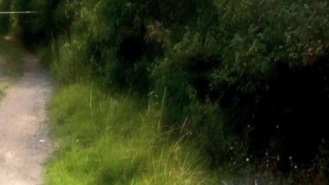 Dejan docena de descuartizados en zona en disputa entre el CJNG y Los Zetas