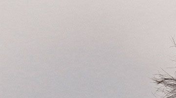 Los que trabajan más de 10 horas al día estarían en peligro de sufrir este padecimiento.