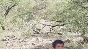 Los sujetos enfrentan cargos por violaciones a leyes migratorias y contrabando de droga.