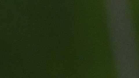 Diego Reyes decidió ir a jugar con los Tigres a Monterrey.