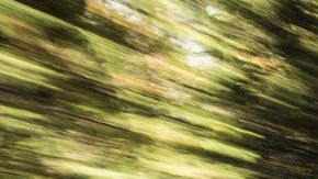 El Dodge Journey 2019 es el SUV más popular este año