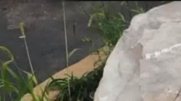 Algunas de las muñecas aparecen sin cabeza.