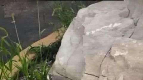 Algunas de las muñecas aparecen sin cabeza.