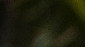 De izq. a dcha., Madeleine Madden, Eugenio Derbez, Isabela Moner y Jeff Wahlberg.