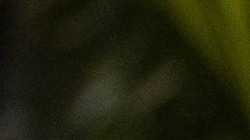 De izq. a dcha., Madeleine Madden, Eugenio Derbez, Isabela Moner y Jeff Wahlberg.