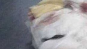 Cada día unas seis personas mueren asesinadas en Tijuana.