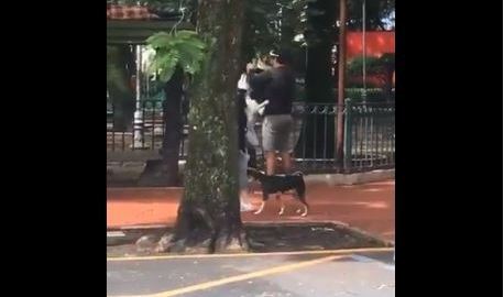 El sujeto bajó al perro y lo obligó a echarse pisando su cabeza.