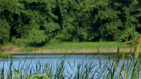 Erasmo Provenza presenta "Exatlón" en Telemundo