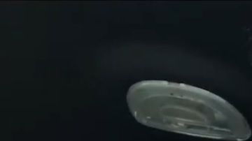 Ferdinando Valencia.