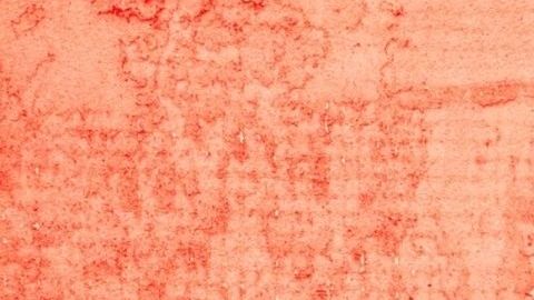 El contenido en fibra y agua de estas frutas, favorece la depuración de toxinas del organismo.