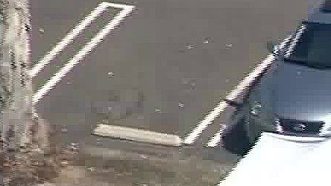 La policía se encuentra investigando el homicidio en CSU Fullerton.