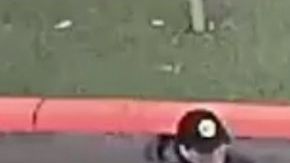 Imagen de Chuyen Vo publicada por el Departamento de Policía de Fullerton.