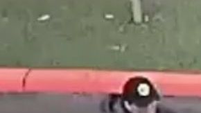 Imagen de Chuyen Vo publicada por el Departamento de Policía de Fullerton.
