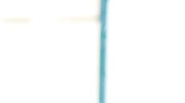 Julio Cesar Furch celebra su segunda anotación ante el Puebla.