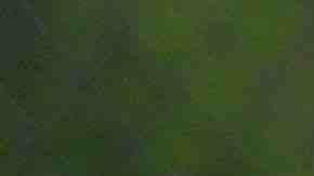 Más de 300 niños y sus familias se beneficiaron del programa de verano de Union Impact Center. (Javier Quiroz / La Raza)