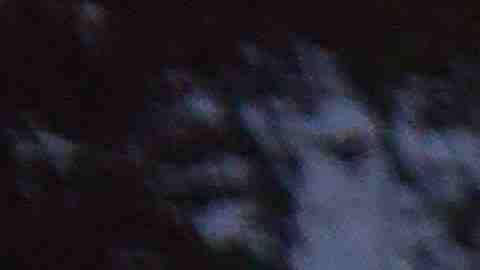 La organización ALFA (All Family Active) celebró 26 partidos en el Kelly Park. (Javier Quiroz / La Raza)