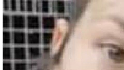 El santuario animal Almas Veganas es un colectivo que lucha por la liberación animal.