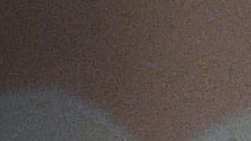 No es raro que Trump se mofe de quienes le llevan la contraria.