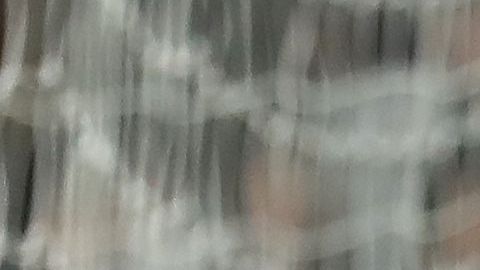 Javier "Chicharito" Hernández ya está recuperado de su lesión y podría reaparecer contra el Norwich.