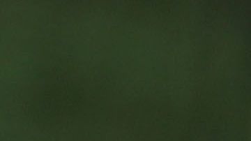 El presidente Trump afirma que no tiene "un hueso" de racista.